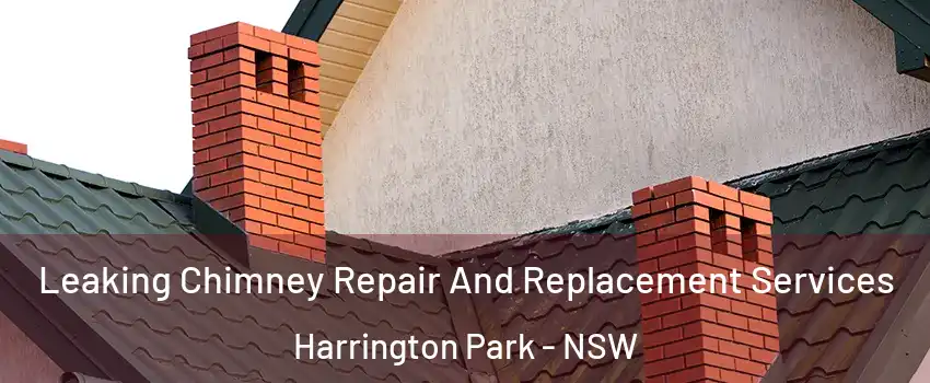 Leaking Chimney Repair And Replacement Services Harrington Park - NSW