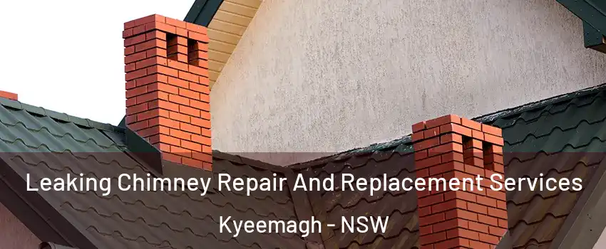 Leaking Chimney Repair And Replacement Services Kyeemagh - NSW