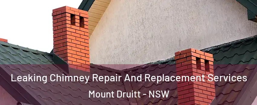 Leaking Chimney Repair And Replacement Services Mount Druitt - NSW