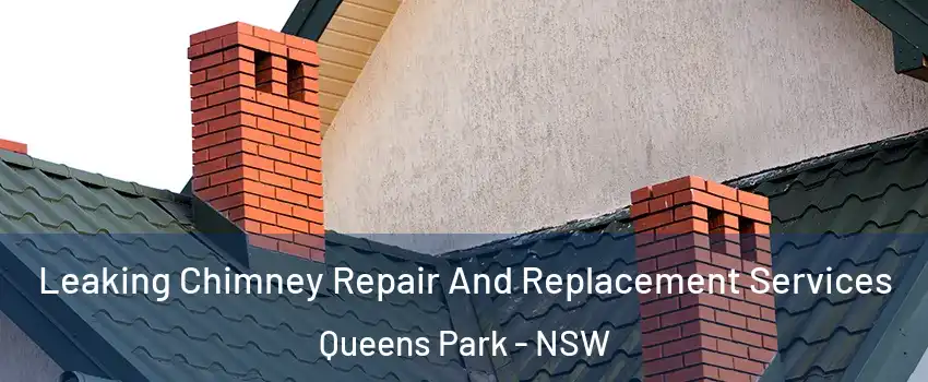 Leaking Chimney Repair And Replacement Services Queens Park - NSW