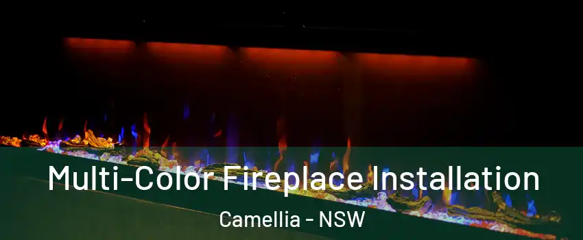 Multi-Color Fireplace Installation Camellia - NSW