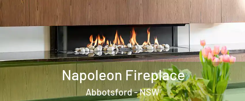  Napoleon Fireplace Abbotsford - NSW