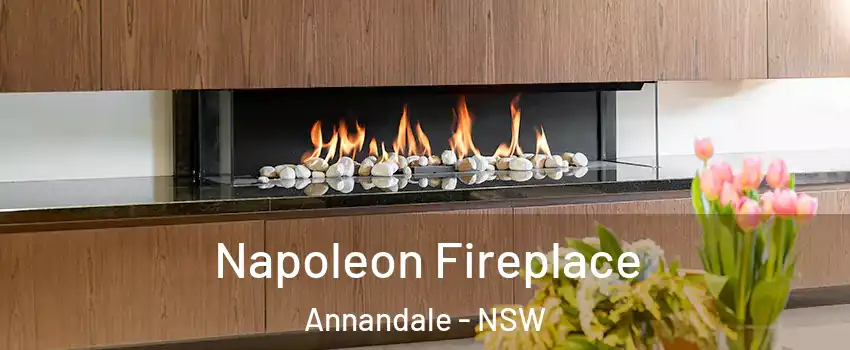 Napoleon Fireplace Annandale - NSW