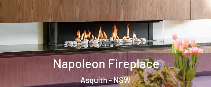 Napoleon Fireplace Asquith - NSW