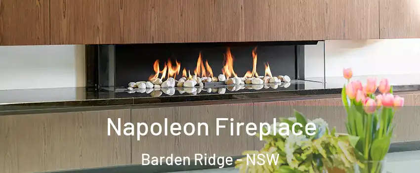 Napoleon Fireplace Barden Ridge - NSW