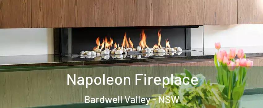 Napoleon Fireplace Bardwell Valley - NSW
