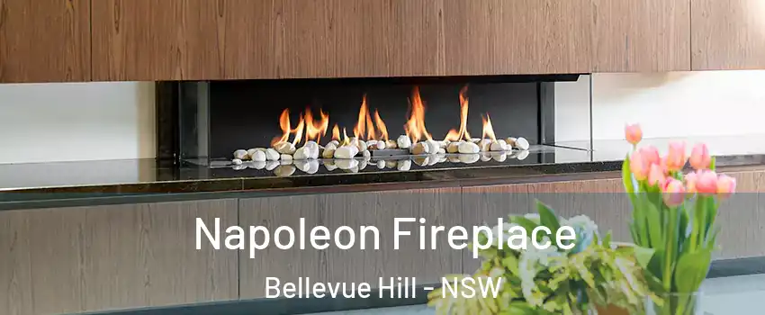 Napoleon Fireplace Bellevue Hill - NSW