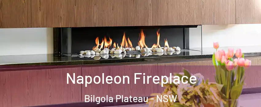 Napoleon Fireplace Bilgola Plateau - NSW