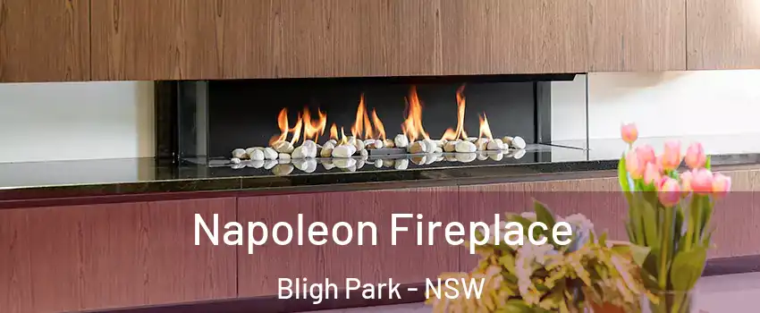 Napoleon Fireplace Bligh Park - NSW