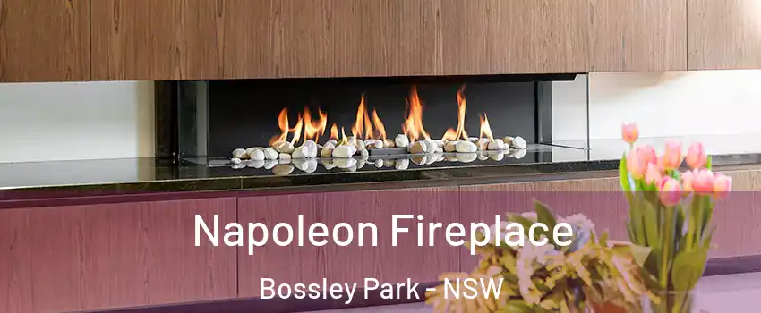  Napoleon Fireplace Bossley Park - NSW