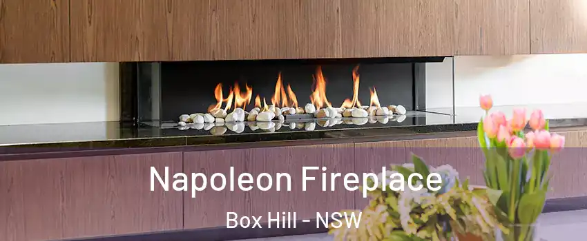 Napoleon Fireplace Box Hill - NSW