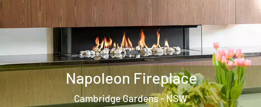 Napoleon Fireplace Cambridge Gardens - NSW