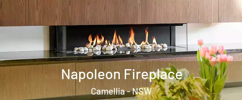 Napoleon Fireplace Camellia - NSW