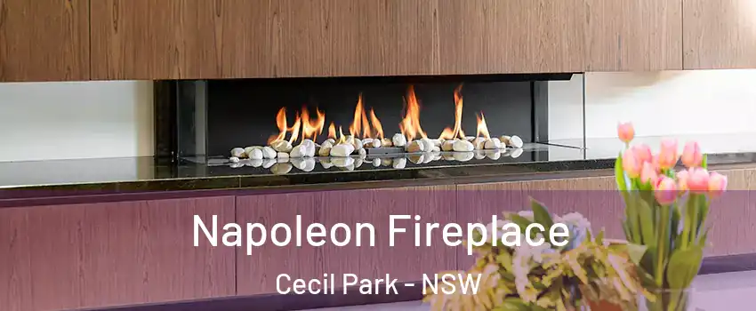 Napoleon Fireplace Cecil Park - NSW