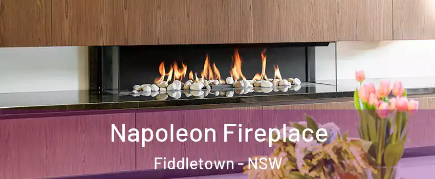 Napoleon Fireplace Fiddletown - NSW