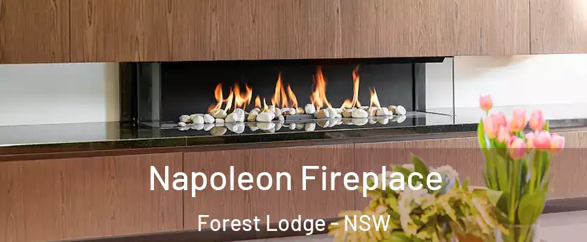 Napoleon Fireplace Forest Lodge - NSW