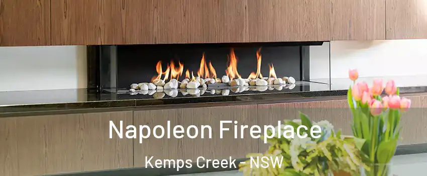Napoleon Fireplace Kemps Creek - NSW
