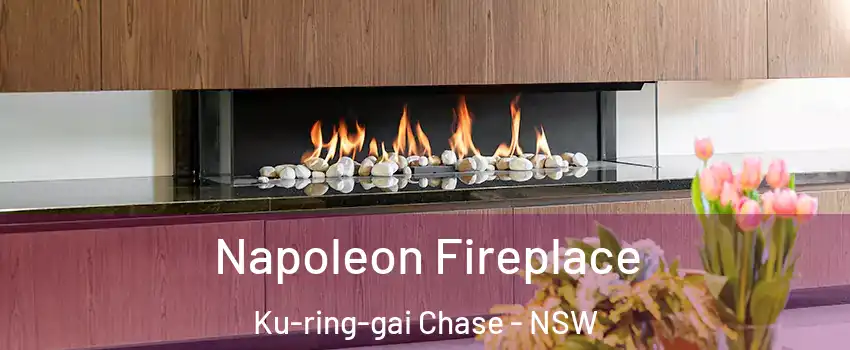 Napoleon Fireplace Ku-ring-gai Chase - NSW