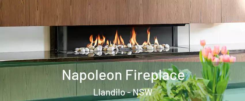 Napoleon Fireplace Llandilo - NSW