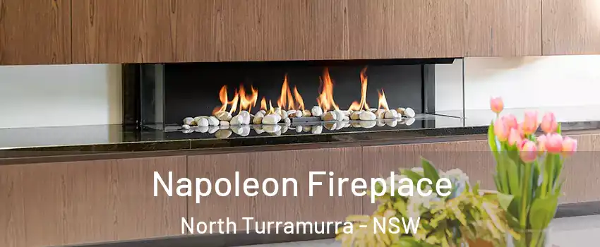Napoleon Fireplace North Turramurra - NSW