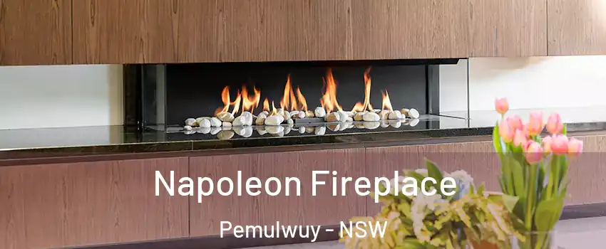 Napoleon Fireplace Pemulwuy - NSW
