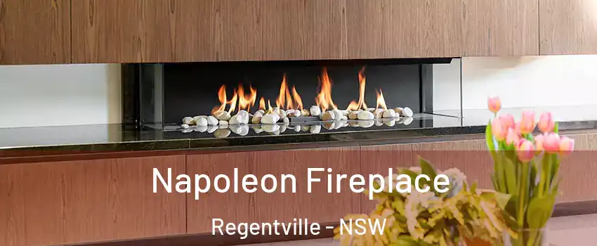 Napoleon Fireplace Regentville - NSW