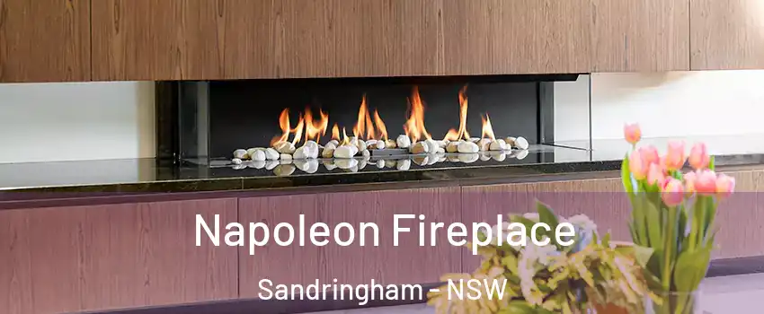 Napoleon Fireplace Sandringham - NSW