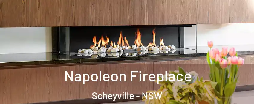 Napoleon Fireplace Scheyville - NSW