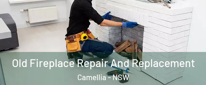 Old Fireplace Repair And Replacement Camellia - NSW