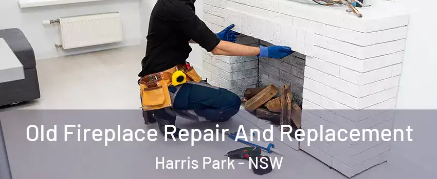 Old Fireplace Repair And Replacement Harris Park - NSW