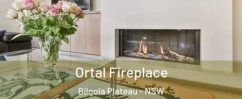 Ortal Fireplace Bilgola Plateau - NSW