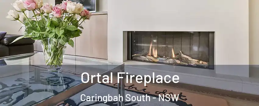 Ortal Fireplace Caringbah South - NSW
