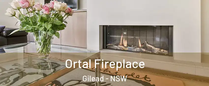 Ortal Fireplace Gilead - NSW