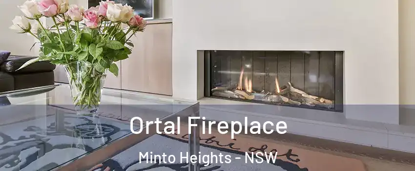 Ortal Fireplace Minto Heights - NSW