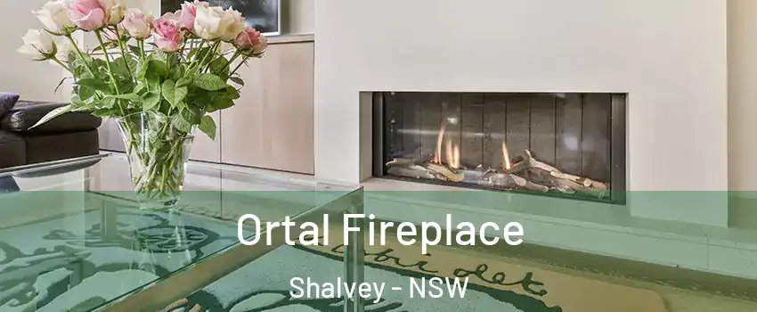 Ortal Fireplace Shalvey - NSW