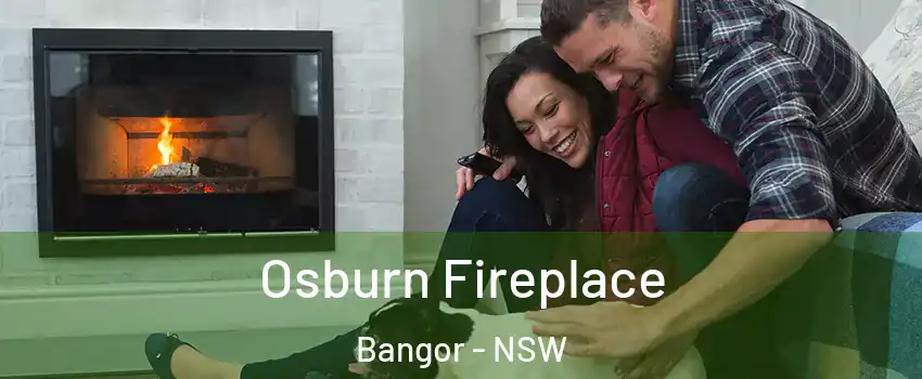 Osburn Fireplace Bangor - NSW