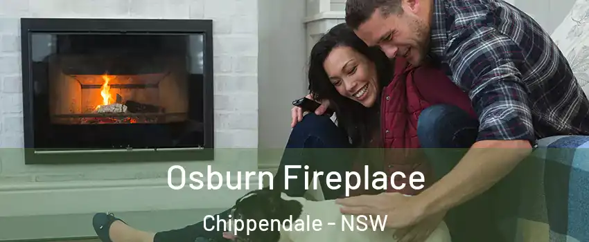 Osburn Fireplace Chippendale - NSW