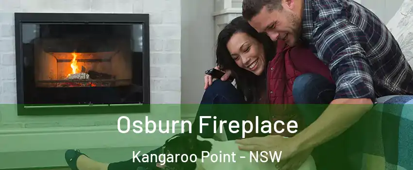 Osburn Fireplace Kangaroo Point - NSW