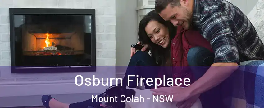 Osburn Fireplace Mount Colah - NSW