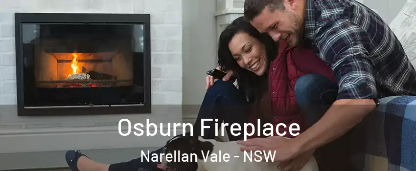  Osburn Fireplace Narellan Vale - NSW
