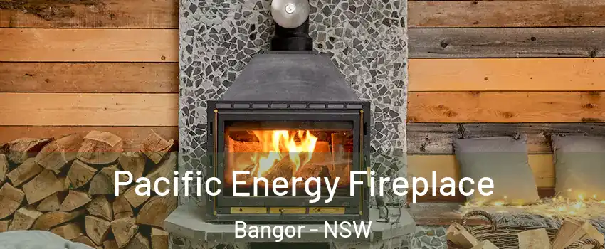 Pacific Energy Fireplace Bangor - NSW