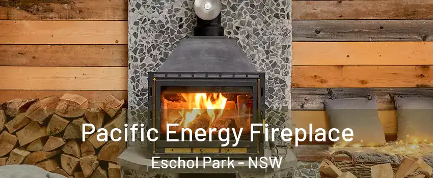 Pacific Energy Fireplace Eschol Park - NSW