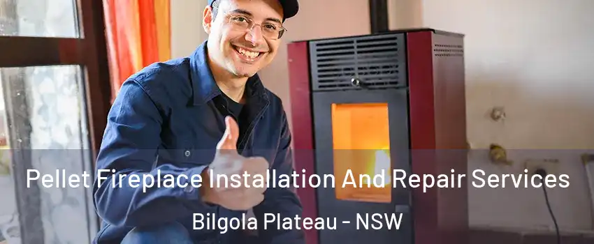 Pellet Fireplace Installation And Repair Services Bilgola Plateau - NSW