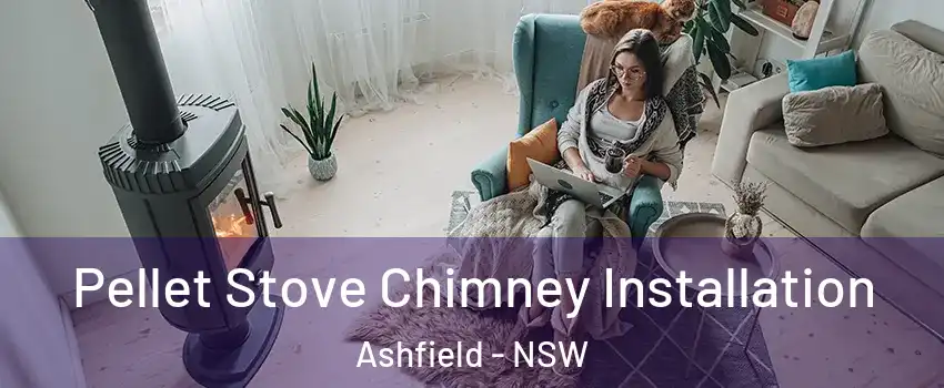 Pellet Stove Chimney Installation Ashfield - NSW