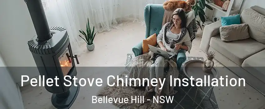 Pellet Stove Chimney Installation Bellevue Hill - NSW