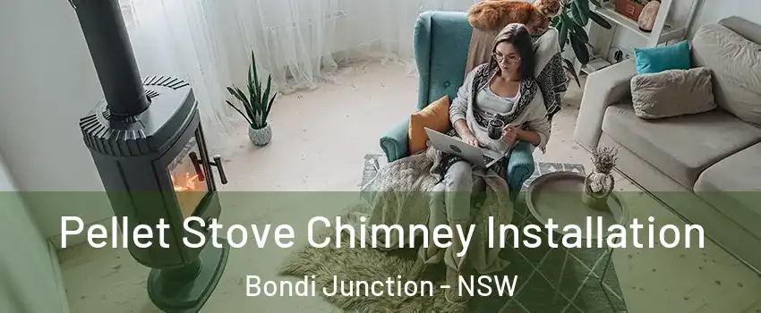 Pellet Stove Chimney Installation Bondi Junction - NSW