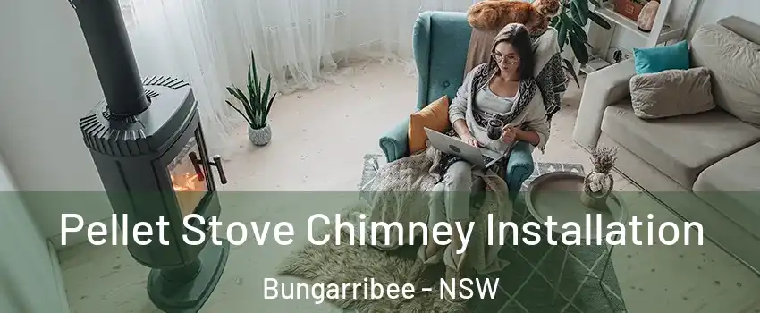 Pellet Stove Chimney Installation Bungarribee - NSW