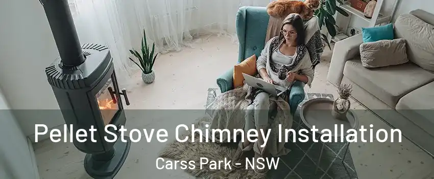 Pellet Stove Chimney Installation Carss Park - NSW