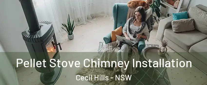 Pellet Stove Chimney Installation Cecil Hills - NSW