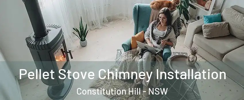 Pellet Stove Chimney Installation Constitution Hill - NSW